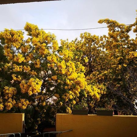 Appartement Proche Mer Avec Terrasse Et Jardin Privatif Hyères Esterno foto