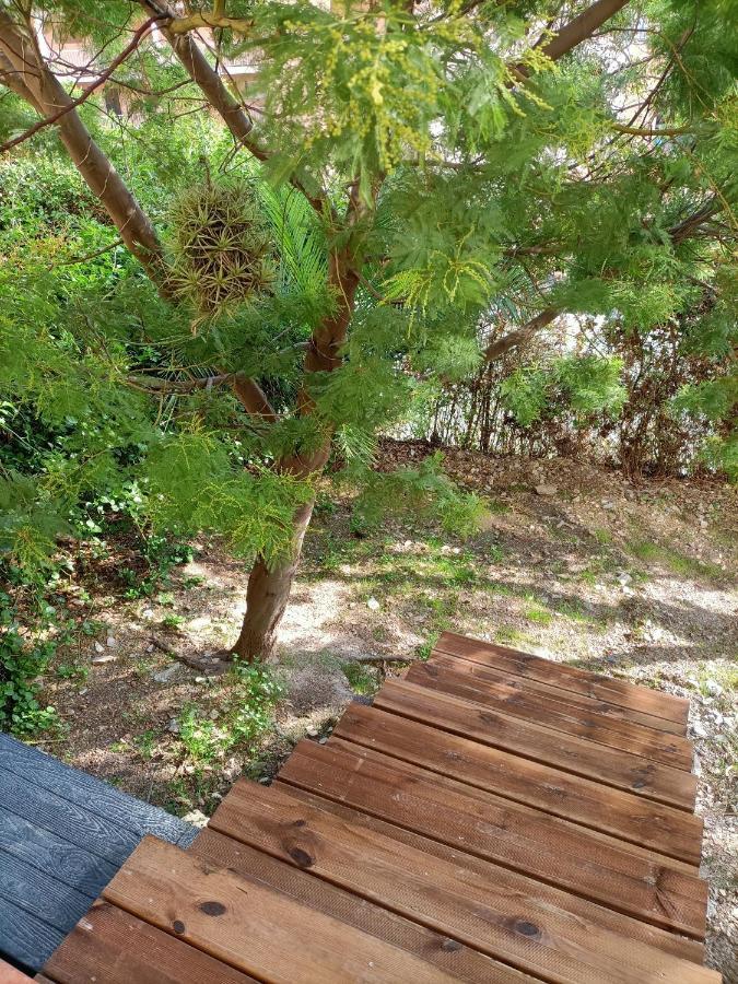 Appartement Proche Mer Avec Terrasse Et Jardin Privatif Hyères Esterno foto